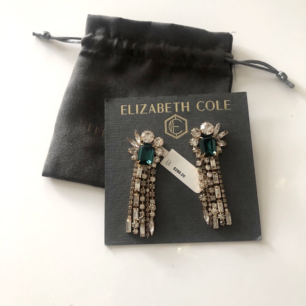 Elizabeth Cole Earrings